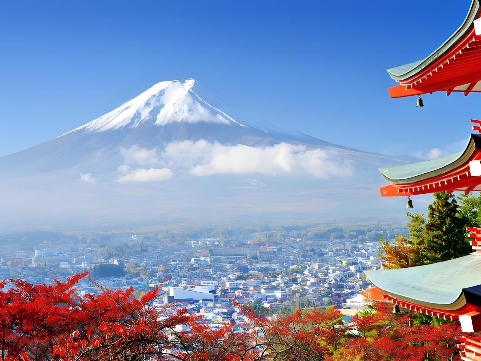 Tokyo private driver service